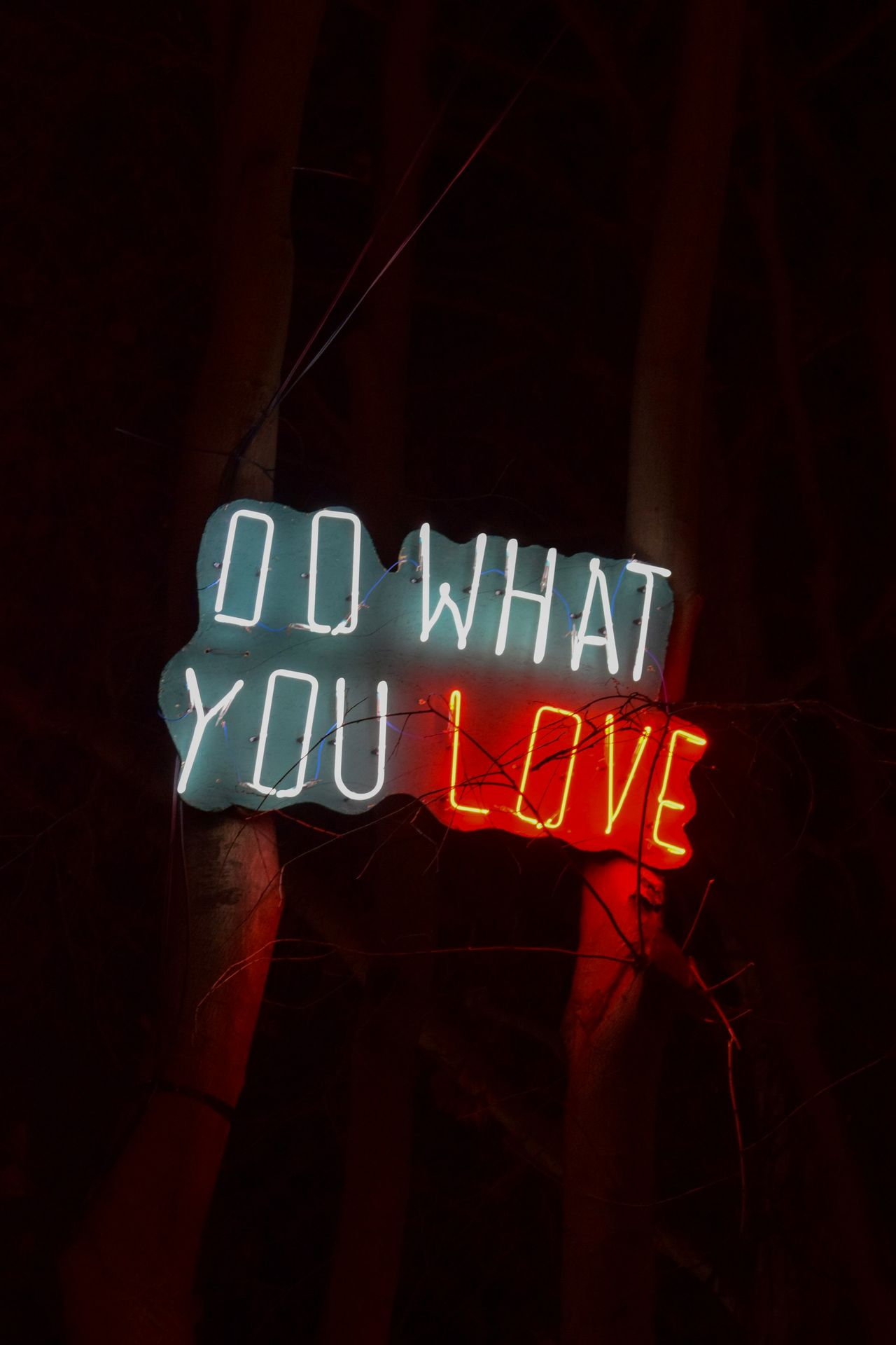 Neon sign says "do what you love"